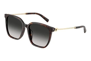 Tiffany TF4244D 80153C Grey GradientHavana