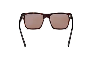 [glasses-back-view] Tom Ford CALDER (FT1205 - 52E)