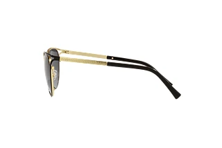 [glasses-side-view] Versace VE2237 (1433T3)