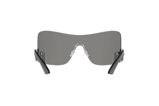 [glasses-back-view] Versace VE2240 (10006G)