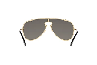 [glasses-back-view] Versace VE2243 (10026G)