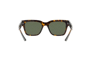 Vista posteriore Versace VE4421 (108/V8)