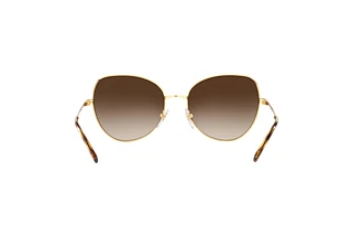 [glasses-back-view] Vogue Eyewear VO4255S (280/13)