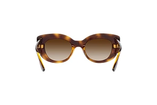 [glasses-back-view] Vogue Eyewear VO5480S (W65613)
