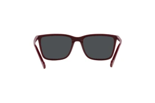 Vista traseira Vogue Eyewear VO5493S (304887)