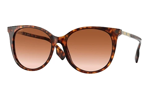 Óculos de marca Burberry ALICE (BE4333 331613)