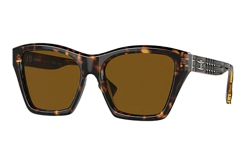 solbrille Burberry ARDEN (BE4391 300283)