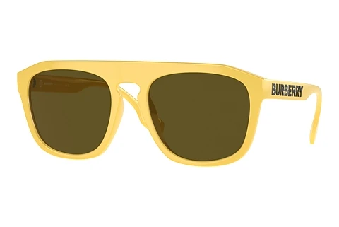 Óculos de marca Burberry WREN (BE4396U 407073)