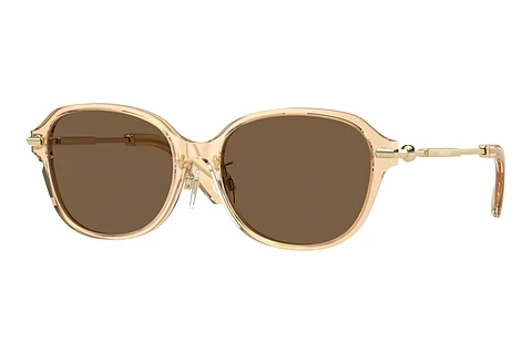 Gafas de visión Burberry BE4429D 406373