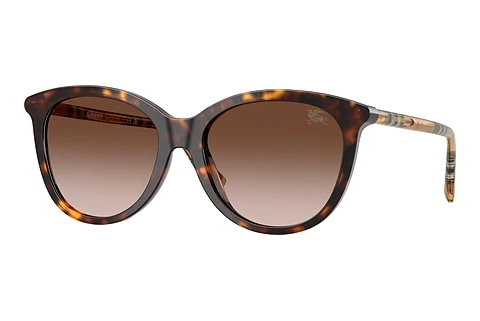 Sonnenbrille Burberry BE4455 421613