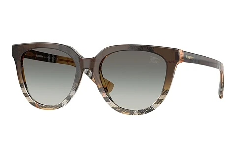 Sonnenbrille Burberry BE4469 420211