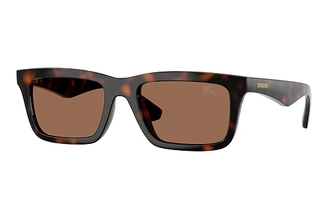Solglasögon Burberry BE4475U 300273