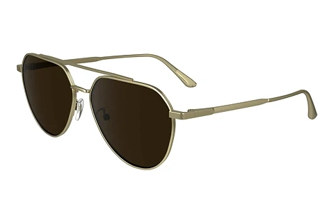 Ophthalmic Glasses Calvin Klein CK24100S 720