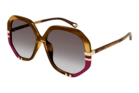 Ophthalmic Glasses Chloé CH0105S 009