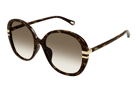 Solglasögon Chloé CH0207SK 002