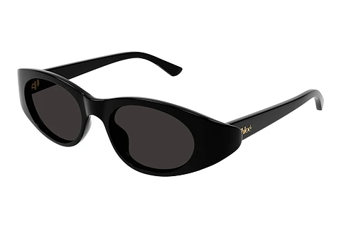 Aurinkolasit Chloé CH0279S 001