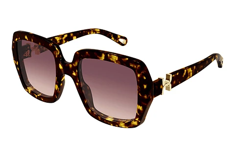 Óculos de marca Chloé CH0301S 002