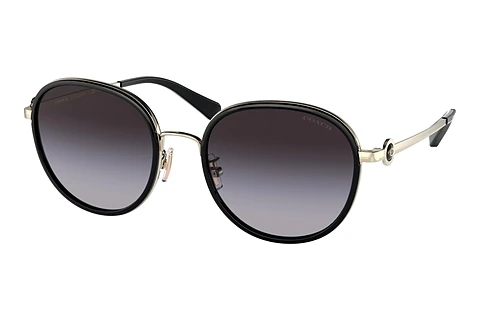 Ophthalmic Glasses Coach C6179 (HC7129 50028G)