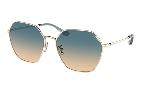 solbrille Coach C7998 (HC7132 900579)