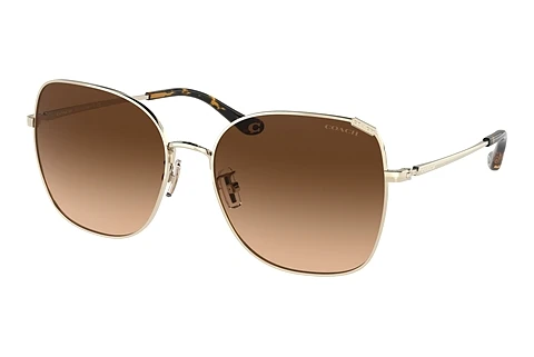 solbrille Coach C7997 (HC7133 900574)