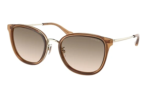 Ophthalmic Glasses Coach C7999 (HC7135 565413)