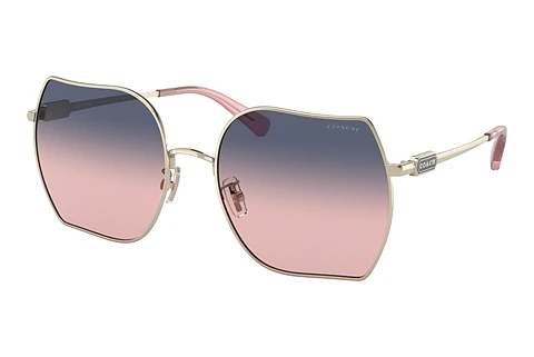 solbrille Coach CD476 (HC7142 90050J)