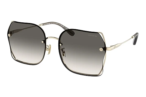 Ophthalmic Glasses Coach CH574 (HC7150D 900511)