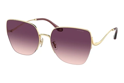 solbrille Coach CL904 (HC7156D 90057W)