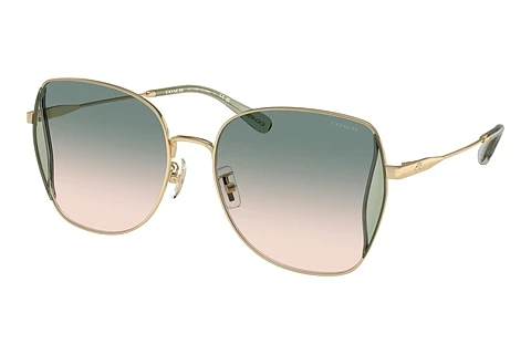 Ophthalmic Glasses Coach CL906 (HC7158D 90052C)