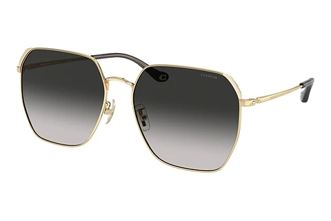 solbrille Coach CR638 (HC7165D 90053C)