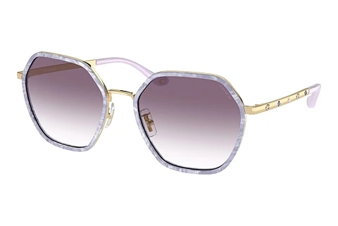 solbrille Coach CS543 (HC7167B 94468H)
