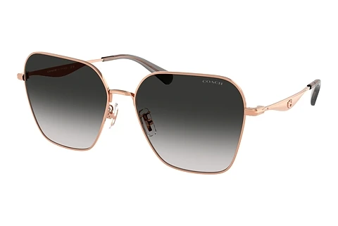 solbrille Coach CW189 (HC7168 93313C)