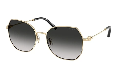 solbrille Coach CAD79 (HC7175 90053C)