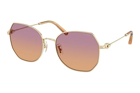 solbrille Coach CAD79 (HC7175 900578)