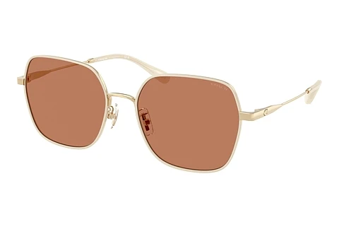 solbrille Coach CAE93 (HC7180D 94683)