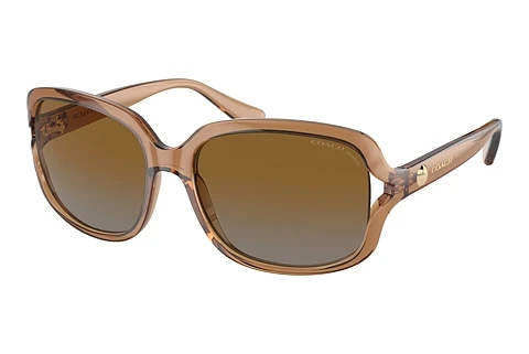Ophthalmic Glasses Coach L149 (HC8169 5561T5)