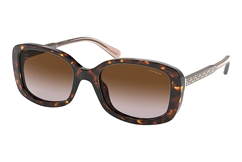 solbrille Coach L1114 (HC8278 512013)