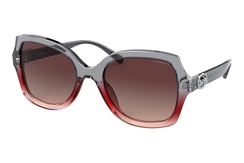 solbrille Coach L1147 (HC8295 5620E2)