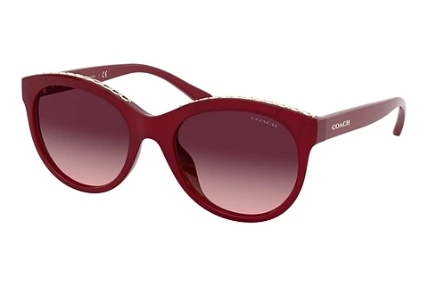 solbrille Coach L1149 (HC8297U 56158H)