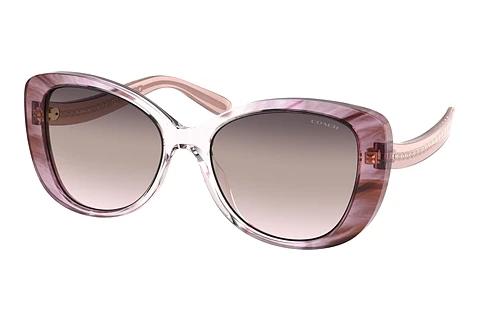 Ophthalmic Glasses Coach C6183 (HC8322 5656U8)