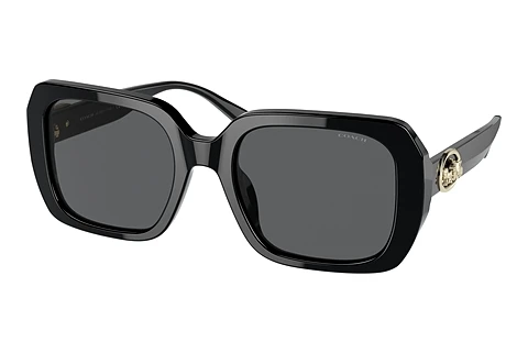 Ophthalmic Glasses Coach C6188 (HC8329U 500287)