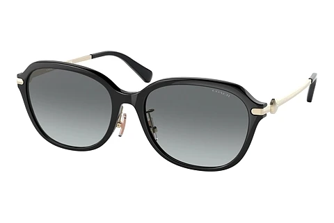 solbrille Coach C6199 (HC8332D 500211)