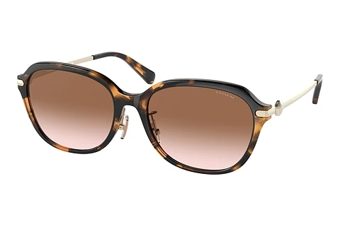 Ophthalmic Glasses Coach C6199 (HC8332D 512013)