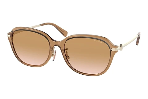 Ophthalmic Glasses Coach C6199 (HC8332D 565413)