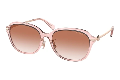 Ophthalmic Glasses Coach C6199 (HC8332D 566613)