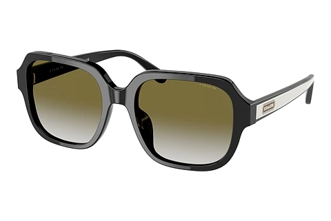 solbrille Coach C7989 (HC8335U 50027Z)