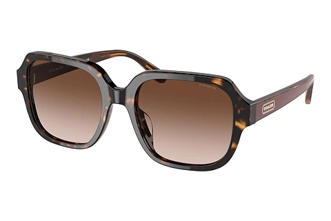solbrille Coach C7989 (HC8335U 512013)