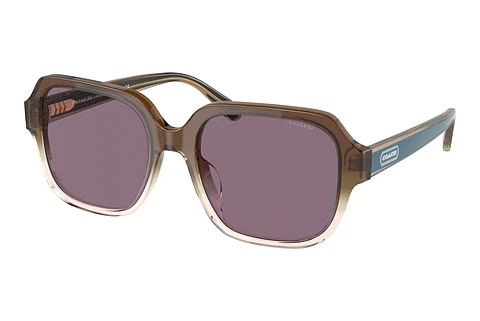 solbrille Coach C7989 (HC8335U 56781A)