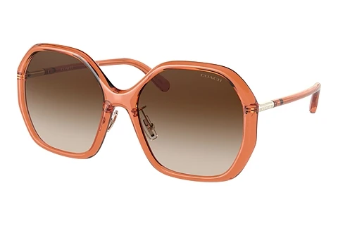 solbrille Coach C9204 (HC8343 570013)