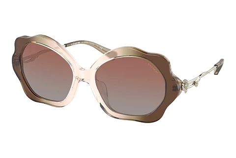 solbrille Coach C9200 (HC8346BU 54008D)